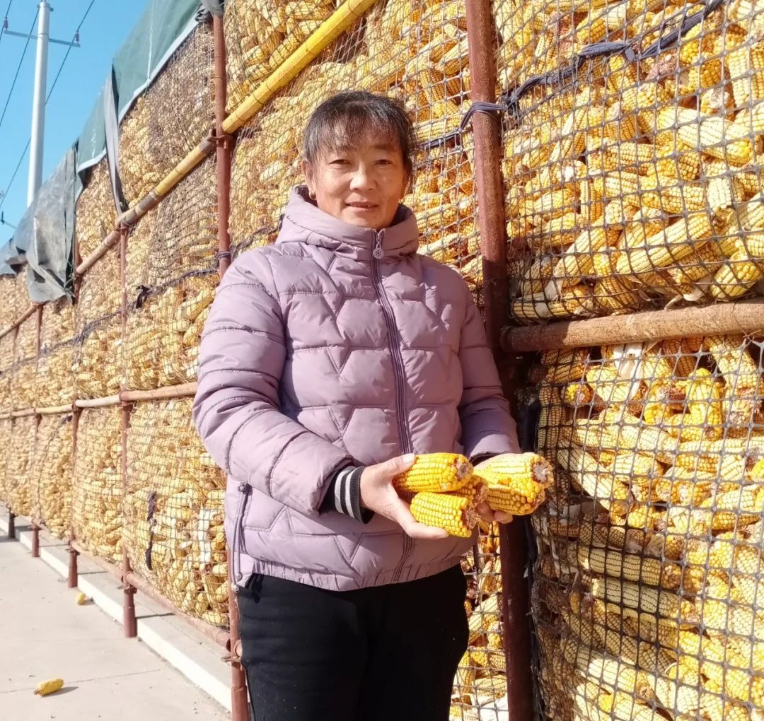 印刷机印钱视频_包装盒印刷机多少钱一台_印钱机器多少钱一台